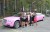 Прокат розового лимузина Chrysler 300с - Изображение 6